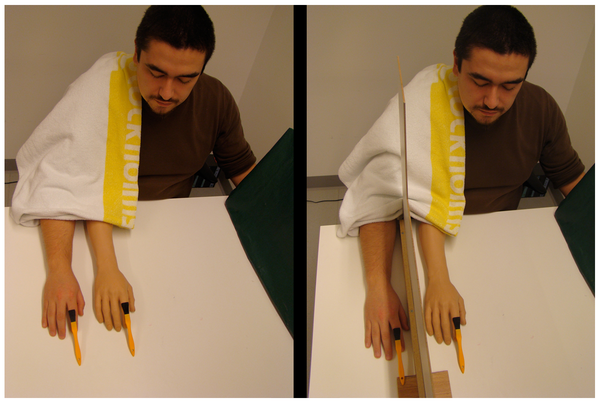 experience a third arm study